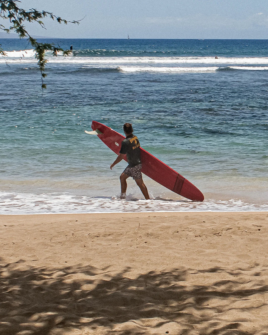 300 Boardshorts - Alphabet Soup